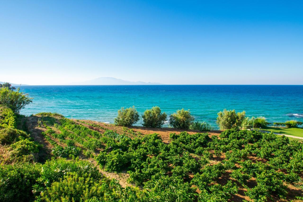 Ammoudino Del Mare Daire Dış mekan fotoğraf
